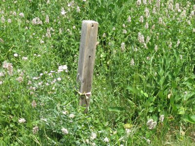 Hansen Pond signpost